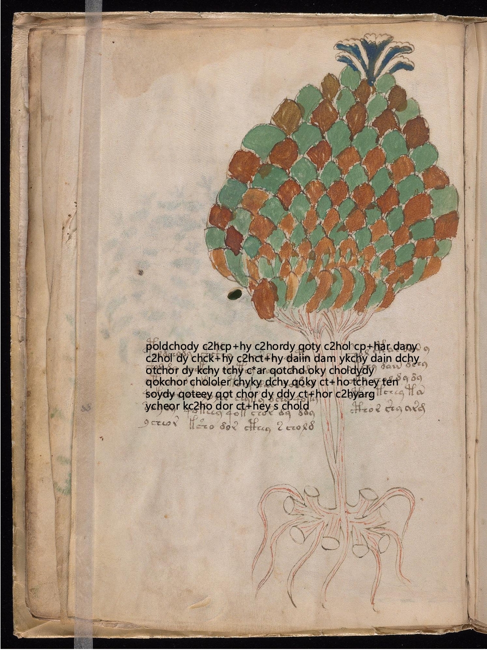 Folio 11v glyph overlay on parchment